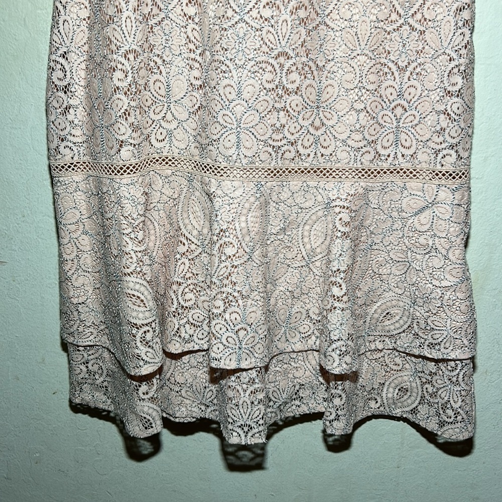 Lauren Ralph Lauren Lace Pink/Black Drop-Waist Dress Size 4 NWT - Picture 9 of 11